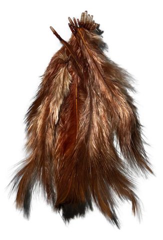 Brown Feathers