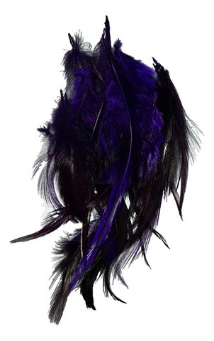Purple Feathers