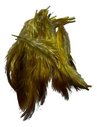 Yellow Feathers