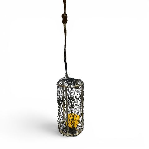 Nacsan Berley Medium Cage + 30m Rope