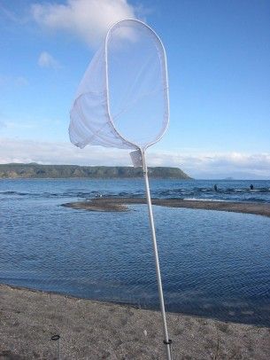 Nacsan Whitebait Scoop Net 2.7m Sewn