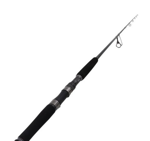 Shimano Ocea Plugger Full Throttle 8'3 50-120g PE6 2pc