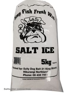Salt Ice