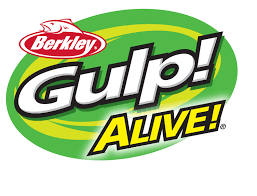 Gulp Alive