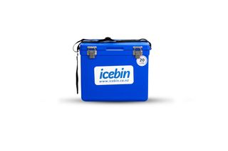 Icebin