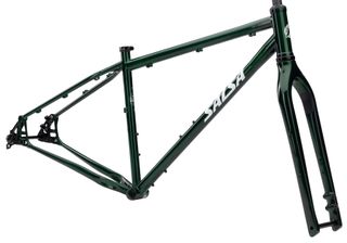 Salsa Fargo Frameset Moss SM