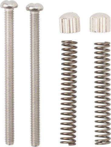 Surly Cross Check dropout screws pair