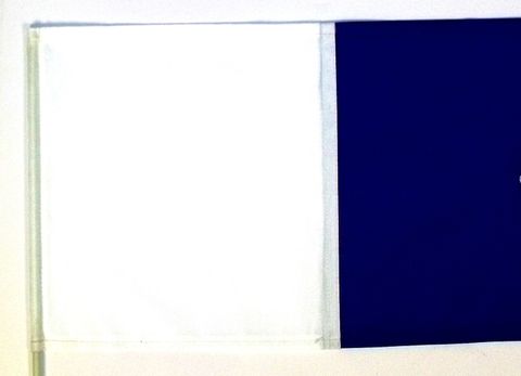 DIVE FLAG FLOAT MODEL