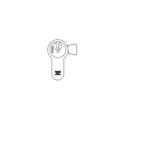 SECURITY EDGE L EURO 6 PIN CLY/CLY LAZY CAM SEBM CP