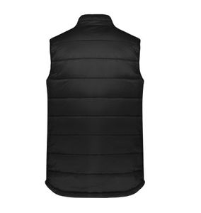 Alpine Mens Vest