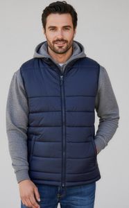 Alpine Mens Vest