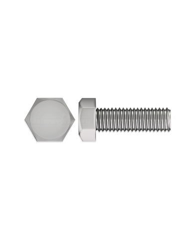 Hex Set Screw M8 x 150 SS304