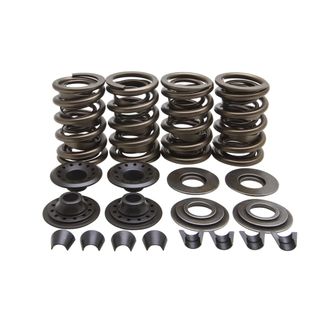 20-20081 VALVE SPRING KIT, 0.655 LIFT