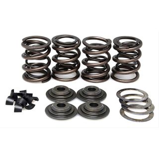 20-20170 VALVE SPRING KIT, 0.460 LIFT