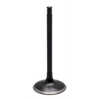 20-20325 EXHAUST VALVE, STANDARD, BLACK DIAMOND