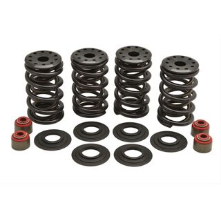 20-20364 RACING SPRING KIT, 0.600 LIFT