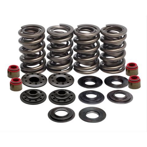 20-20355 RACING SPRING KIT, 0.655 LIFT