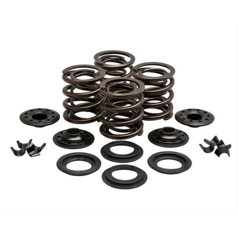 20-20425 VALVE SPRING KIT, OEM REPLACEMENT