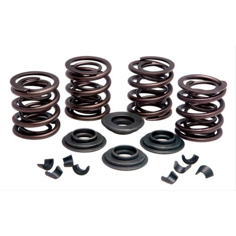 20-20430 VALVE SPRING KIT, OEM REPLACEMENT