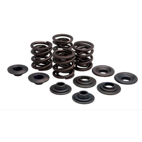 20-20440 VALVE SPRING KIT, OEM REPLACEMENT