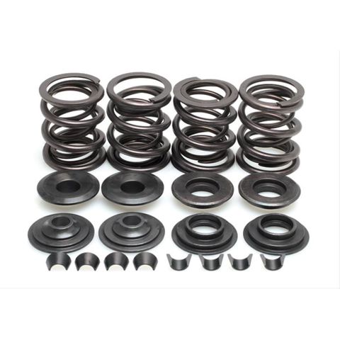 20-20445 VALVE SPRING KIT, RACING