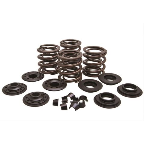 20-20450 VALVE SPRING KIT, RACING