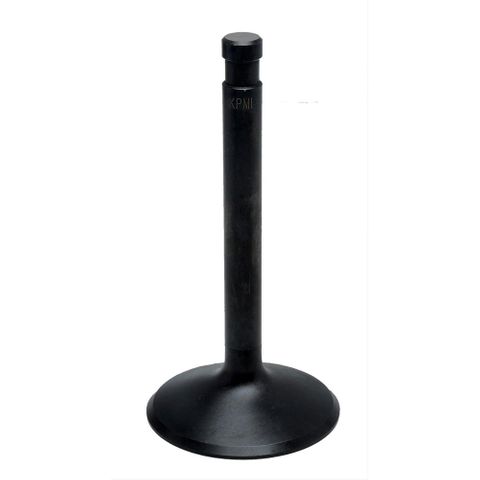 20-4294 INTAKE VALVE, STANDARD, BLACK DIAMOND