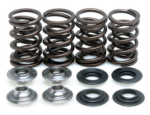 30-30161 Spring Kit, .480 Lift, Honda, XR650R