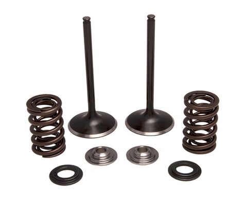 30-31230 INTAKE ONLY - STEEL VALVE & SPRING KIT