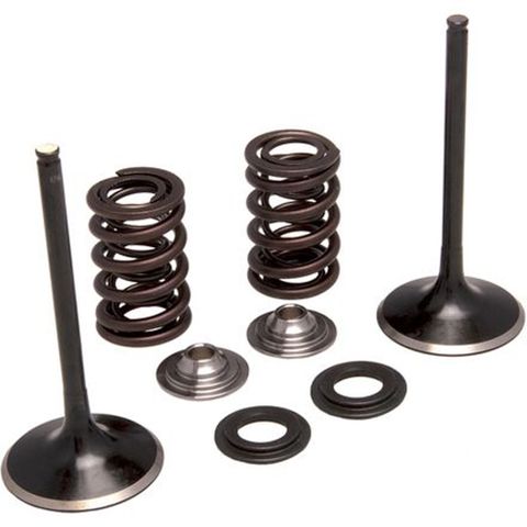 30-31240 INTAKE ONLY - STEEL VALVE & SPRING KIT