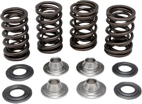 40-40300 Spring Kit, .415 Lift In/Ex,Kawasaki,KX