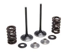 40-40350 INTAKE ONLY - STEEL VALVE & SPRING KIT