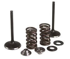 40-40380 INTAKE ONLY - STEEL VALVE & SPRING KIT