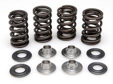 40-40700 Spring Kit, 0.415 Lift, Kawasaki, KLX 4