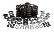 70-70026 Spring Kit, .430 Lift, Triumph, T509-955