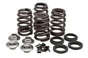 70-70510 VALVE SPRING KIT. TRIUMPH. 650.