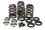 Kibblewhite Valve Spring Kit Triumph 750 '63-83 .460" Lift (Beehive)