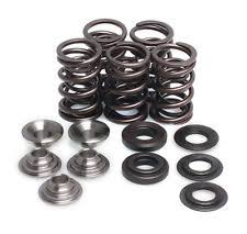 80-80030 Spring Kit, .450 Lift In/Ex, Yamaha, Ra