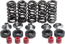 80-80100 Spring Kit,.380 Lift,Yamaha,YZ/WR 400/42