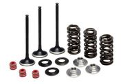 80-80850 INTAKE ONLY - STEEL VALVE & SPRING KIT