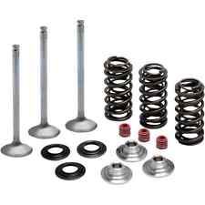 80-80950 INTAKE ONLY - STEEL VALVE & SPRING KIT