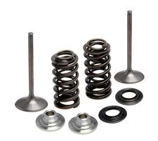 80-80970 INTAKE ONLY - STEEL VALVE & SPRING KIT