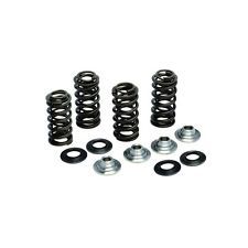 80-80900 YAMAHA.YZF-250. 14-17.Valve Spring Kit