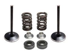 80-81050 INTAKE ONLY - STEEL VALVE & SPRING KIT