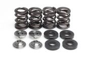 Racing Spring Kit, Titanium, 0.440" Lift, Husqvarna®, Various 450-510cc, 2006-2008