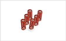 501-64-06088 CLUTCH SPRING KIT