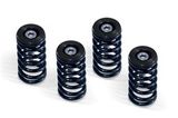 Barnett Ducati Clutch Spring Kit