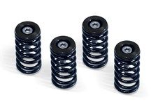 519-25-06095 DUCATI CLUTCH SPRING KIT, BLACK