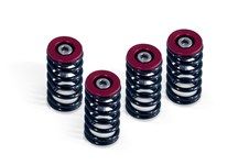 519-25-06098 DUCATI CLUTCH SPRING KIT, RED