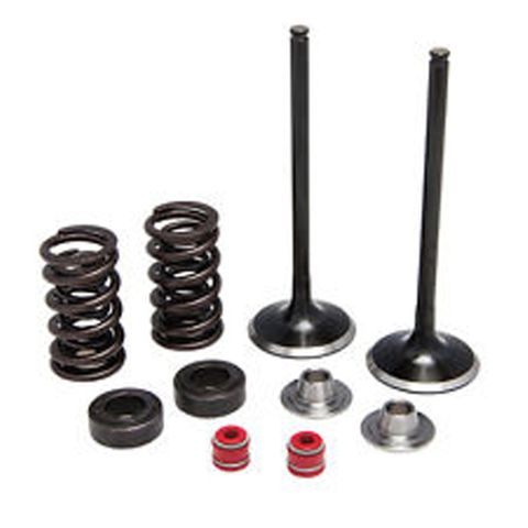 30-31500 INTAKE ONLY - STEEL VALVE & SPRRING KIT